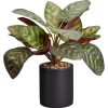 Kwantum Kunstplanten & Kunstbloemen*Kunstplant Calathea Groen
