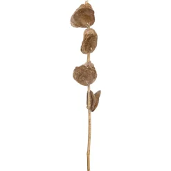 Kwantum Kunstplanten & Kunstbloemen*Kunsttak Capiz Taupe