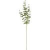 Kwantum Kunstplanten & Kunstbloemen*Kunsttak Eucalyptus Groen