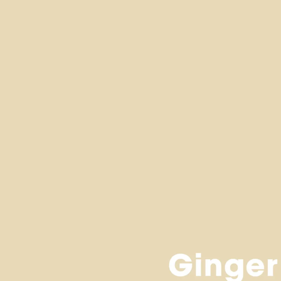 Kwantum Muurverf*Muurverf Professional Ginger 1 L 1L