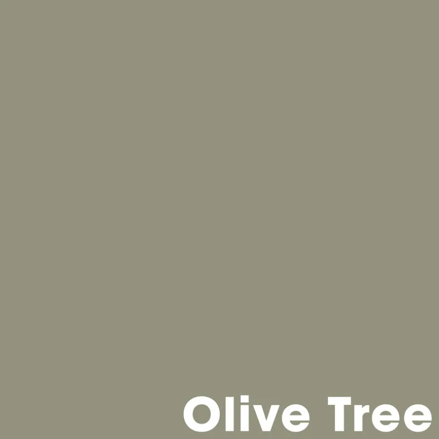 Kwantum Muurverf*Muurverf Professional Olive Tree 1 L 1L